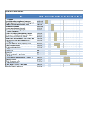 Carta Gantt Psicosocial Excel  Form