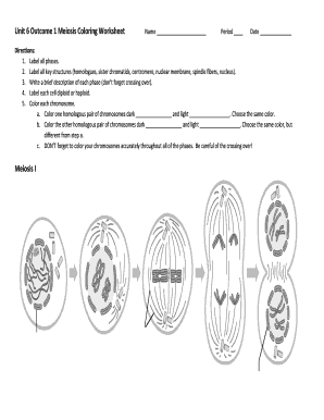 Meiosis Coloring Worksheet Answer Key  Form