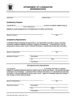 Appointment of a Designated Representative CF ES 2505 072013 PDF  Form