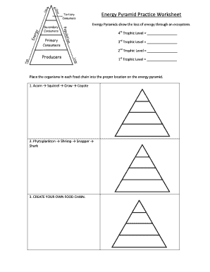 Energy Pyramid Practice Worksheet  Form