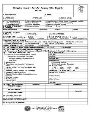 Philippine Registry Form for Persons with Disability Ver 3 0 PDF