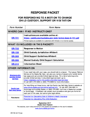 DR 720Response Packet Domestic Relations  Form