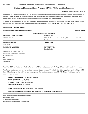 Sevis  Form