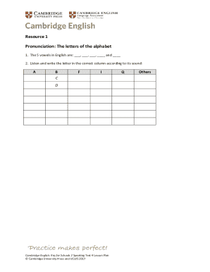 Cambridge Lesson Plan Sample PDF  Form