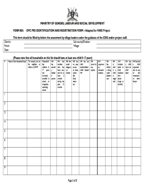 Ministry of Gender Labour and Social Development Registration Form