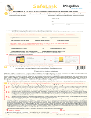 Safelink Application PDF  Form
