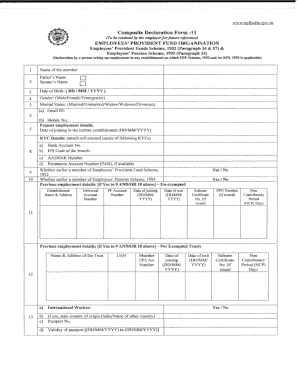 Composite Declaration Form 11