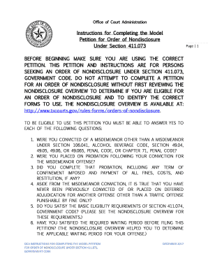 Instructions Petition 411  Form