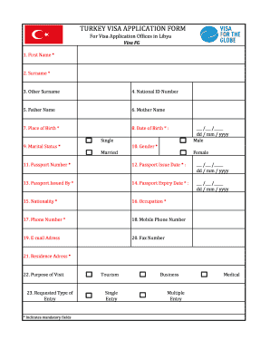 Visa Fg  Form