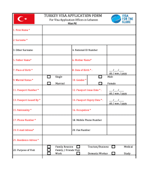 Visafg  Form