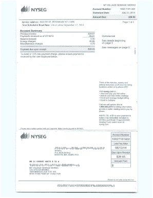 Nyseg Bill Sample  Form