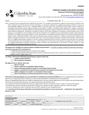 Scholarship Tennessee Promise  Form