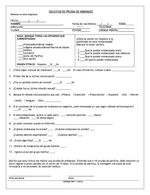 Descargar PDF De Prueba De Embarazo Para Editar  Form