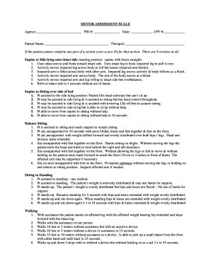 Motor Assessment Scale  Form