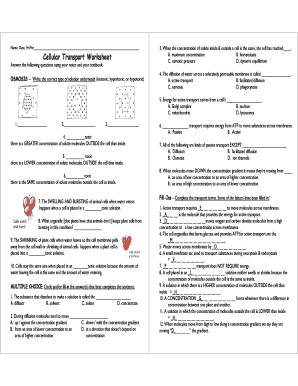 Cellular Transport Worksheet  Form