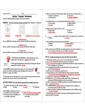 Cellular Transport Worksheet  Form