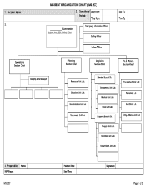 IMS 207 Incident Organization Chart Incident Management System IMS Forms