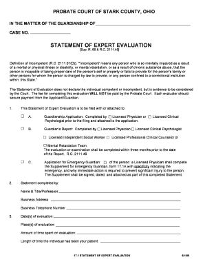 STATEMENT of EXPERT EVALUATION  Form