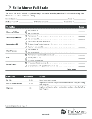 Falls Morse Fall Scale Healthinsight  Form