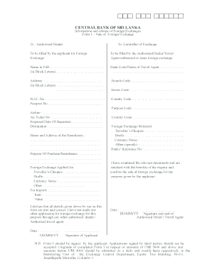 Information on Release Foreign Exchange Form How to Fill