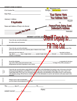 SHERIFF S ENTRY of SERVICE Rockdale County Georgia Rockdalecounty  Form