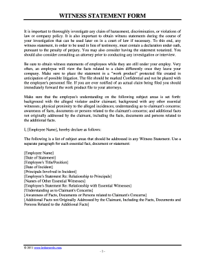 Sample Witness Statement Letter Form