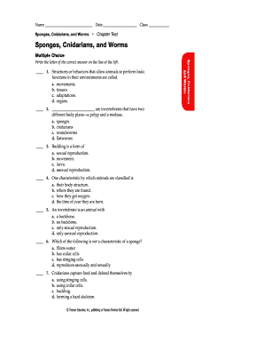 Sponges Cnidarians and Worms Chapter Test Sponges Dgs K12 Il  Form