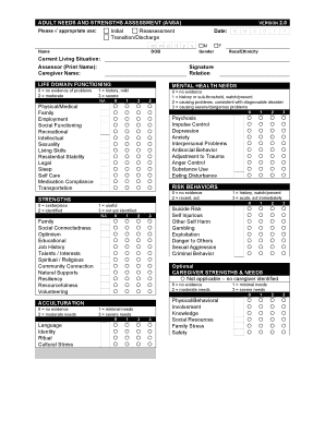 Ansa Assessment PDF  Form