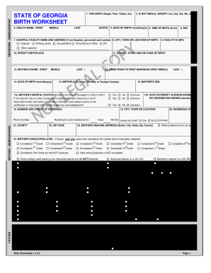 Georgia Birth Certificate Template  Form