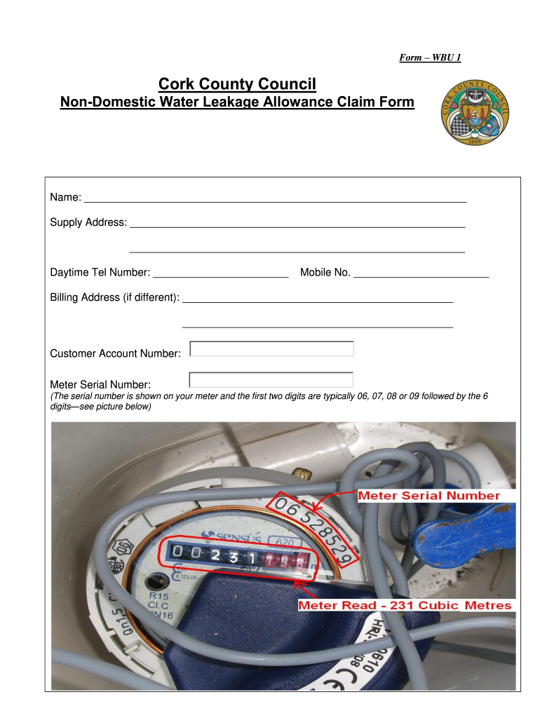 Non Domestic Leak Allowance Claim Form Cork County Council