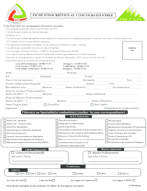 Fiche De Renseignement Iuc PDF  Form