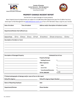 Property Irregularity Report Form PDF