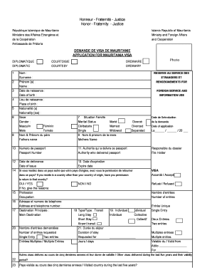 Sample Filled South Africa Visa Application Form