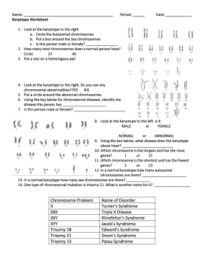 B6f Karyotype Worksheet  Form