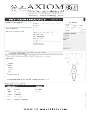 08 0400071 Axiom Histo Form V 1 100408 Cdr