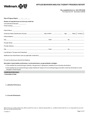 Aba Progress Report Template  Form