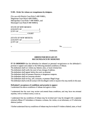 Order for Release on Recognizance by Designee  Form