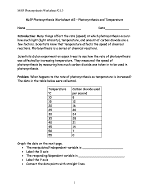 Misp Photosynthesis Worksheet Answers  Form