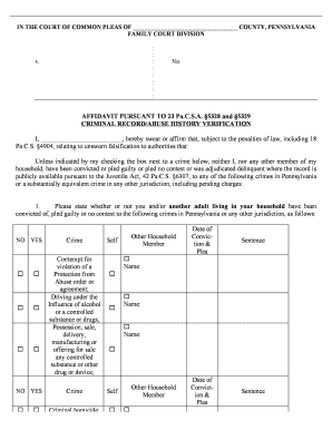 AFFIDAVIT PURSUANT to 23 Pa C S a 5328 and 5329  Form