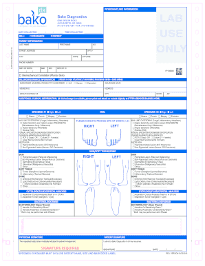 Bako Labs  Form