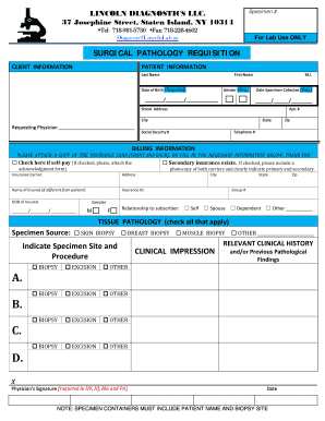 LINCOLN DIAGNOSTICS LLC  Form