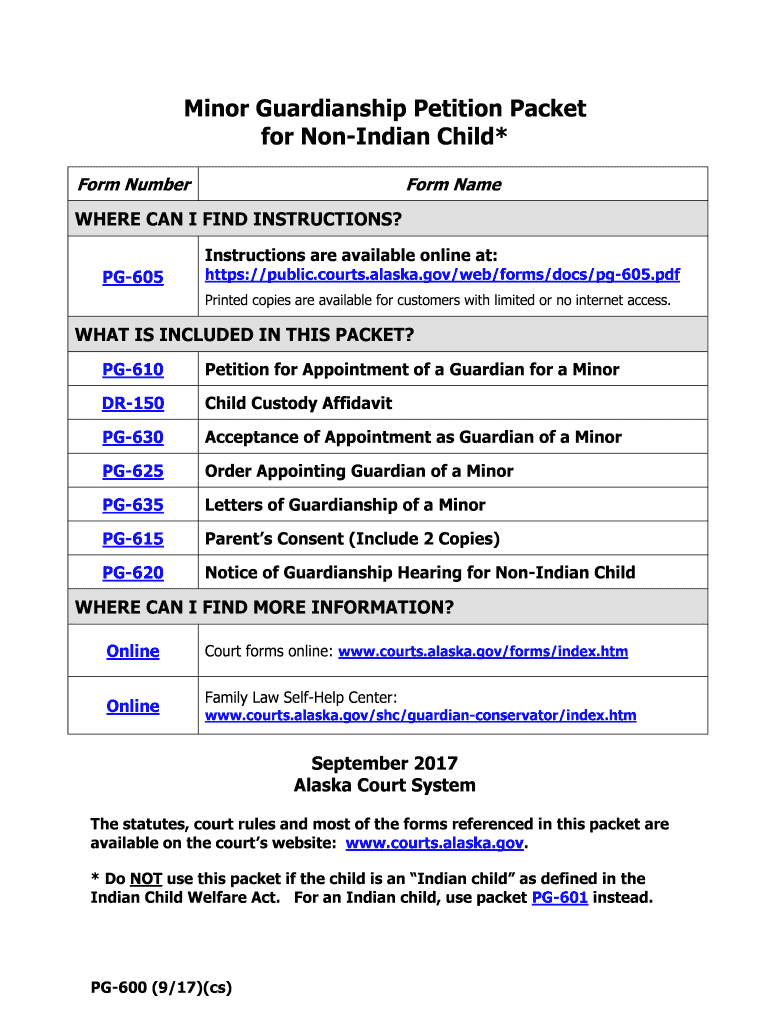  PG 600 Minor Guardianship Petition Packet Non Indian Child Coversheet Probate and Guardianship Forms 2017-2024