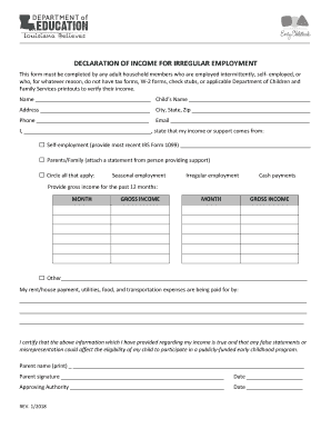Declaration of Income  Form