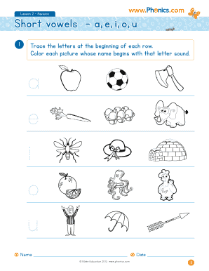 Short Vowels A, E, I, O, U Fly with Phonics  Form