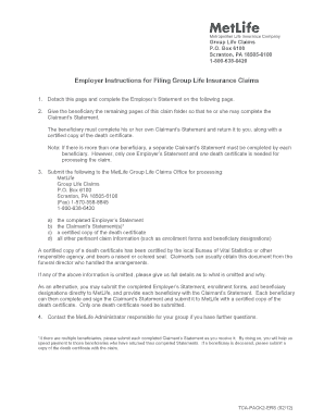  Metlife Ers Form 2012-2024