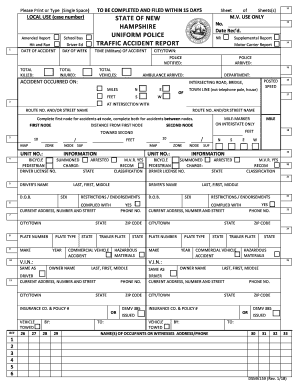 Uniform Police Traffic Accident Report