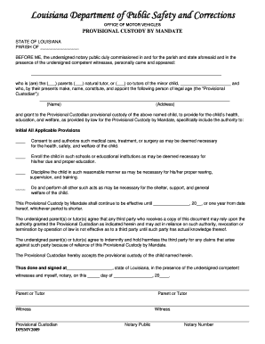 DPSMV2009 Provisional Custody by Mandate PDF  Form
