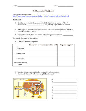 Cellular Respiration Test Questions and Answers PDF  Form