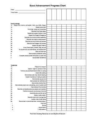 Boy Scout Advancement Chart PDF  Form