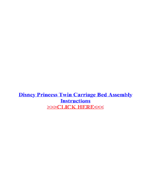 Disney Princess Carriage Bed Assembly Instructions PDF Rooms to Go  Form